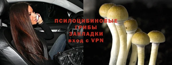 PSILOCYBIN Беломорск