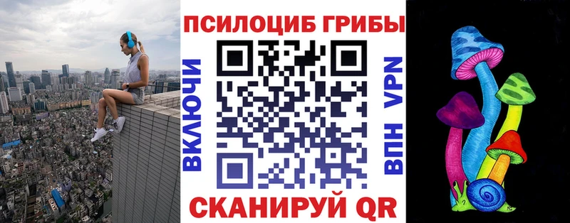 Купить  Новоалтайск  Галлюциногенные грибы Magic Shrooms 